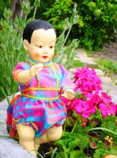 Petitcollin Asiatique
